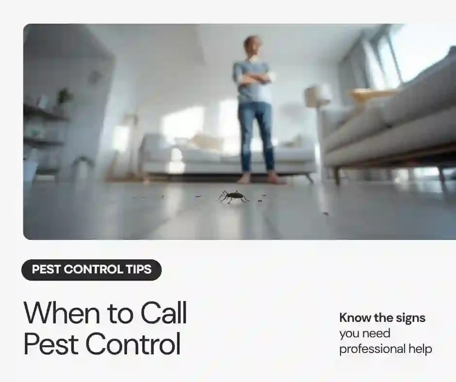 Licensed pest control technician preparing for service call at Wisconsin home — professional inspection and targeted treatment